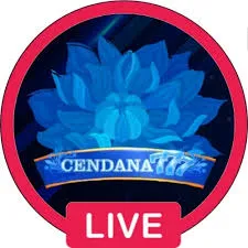 CENDANA777 - Pertarungan Seru dalam Game TPS Terbaik